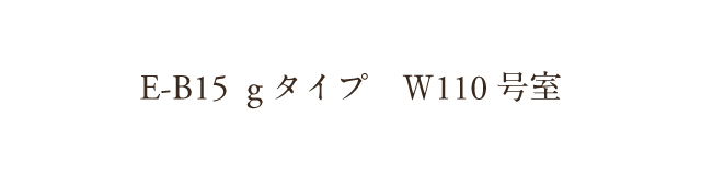 E-B15  g�^�C�v�@�v110����