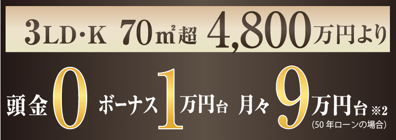 3LD・K 70㎡超 頭金「ゼロ」！ ボーナス「1万円台」！月々「９万円台」！