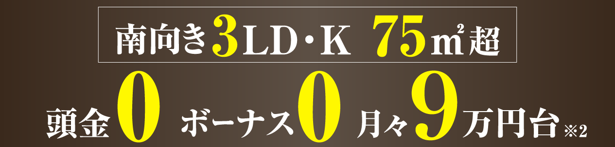 ����� 3LD�EK 75�u�� �����u�[���v�I �{�[�i�X�u�[���v�I���X�u�X���~��v�I