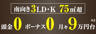 ����� 3LD�EK 75�u�� �����u�[���v�I �{�[�i�X�u�[���v�I���X�u�X���~��v�I