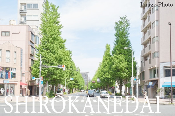 SHIROKANEDAI