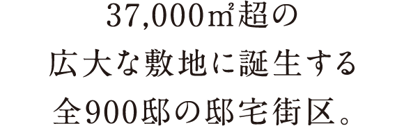 37,000u̍Lȕ~nɒaS900@̓@XB