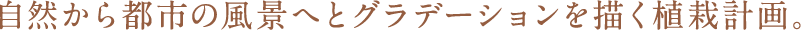 Rss̕iւƃOf[V`A͌vB