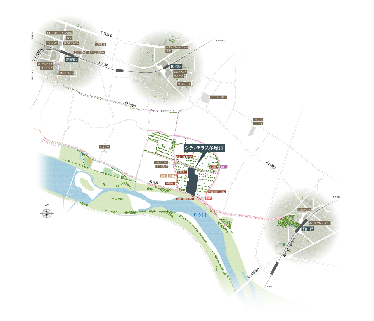 周辺地図