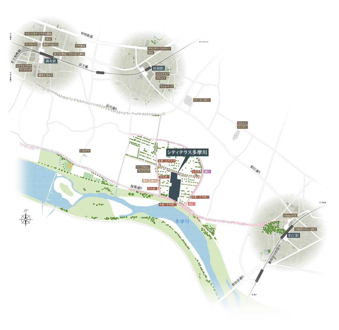周辺地図
