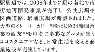 wӂł́A2005N܂łɉw̓kŎsXnĊJƂAL擹HAwOLꂪV݂܂B^̃Cg[[Jh[5͂24ԉcƂ̐F6𒆐SɑʂȃOWRRXNGA7ȂǁA퐶x鏤Ǝ{݂[Ă܂B