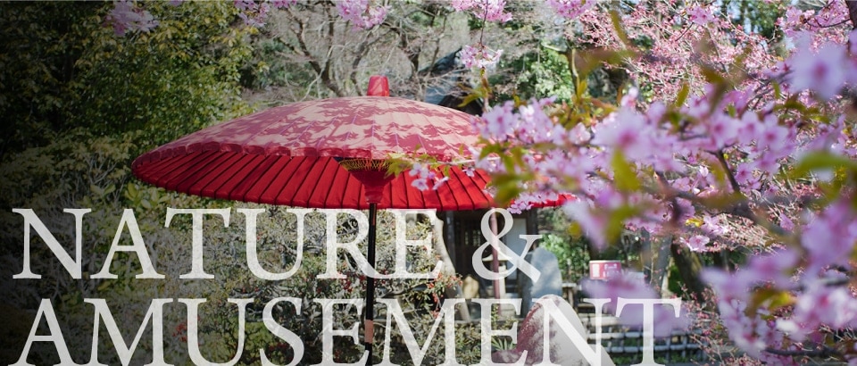 NATURE & AMUSEMENT