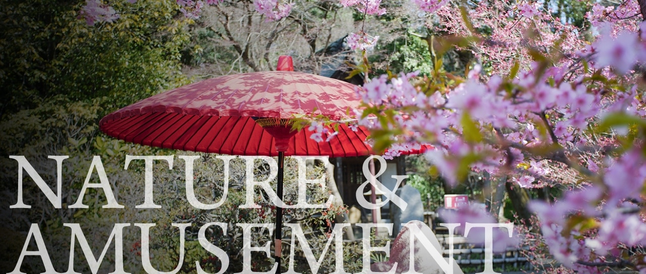 NATURE & AMUSEMENT