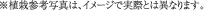 A͎Qlʐ^́AC[WŎۂƂ͈قȂ܂B