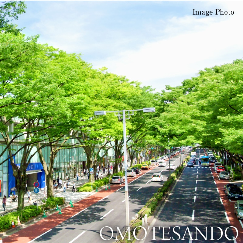 OMOTESANDO