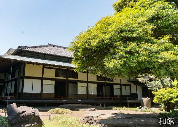 旧岩崎邸庭園 和館