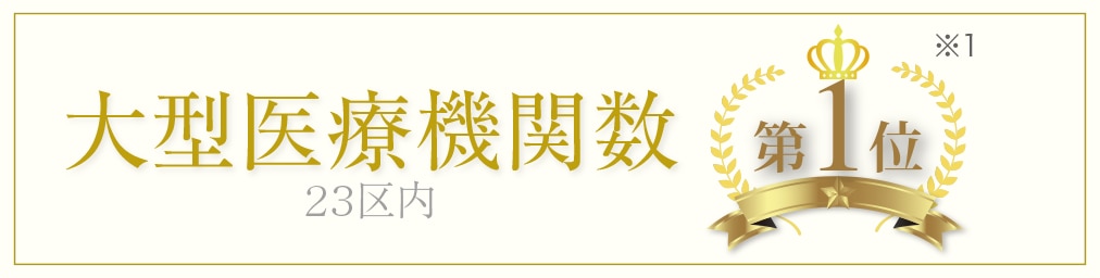 大型医療機関数 23区内 第2位※1