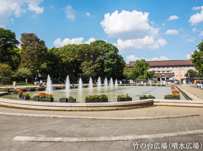 竹の台広場(噴水広場)