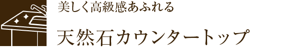 ӂVR΃JE^[gbv