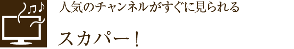 lC̃`lɌXJp[I