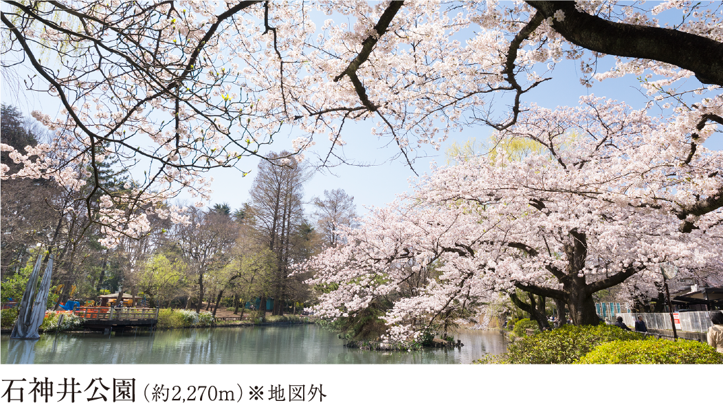 石神井公園