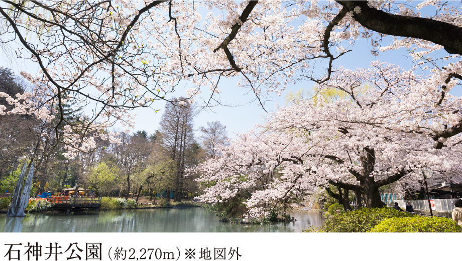 石神井公園