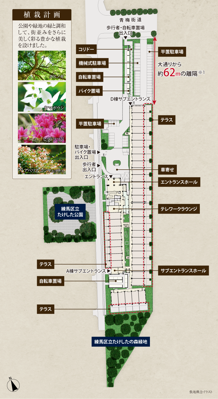 敷地概念イラスト
