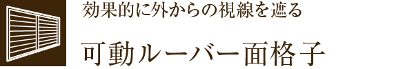 ʓIɊO̎Ղ[o[ʊiq