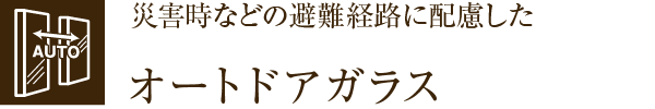 ЊQȂǂ̔oHɔzI[ghAKX