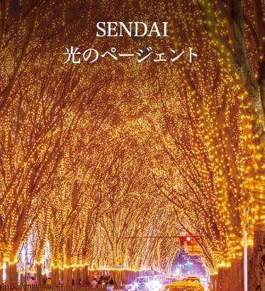 winter SENDAI ̃y[WFg