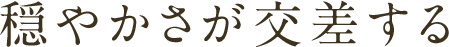 穏やかさが交差する