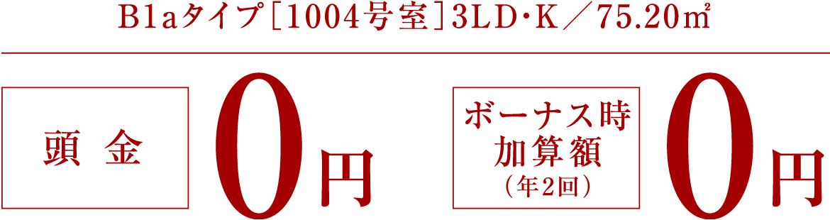 B1a^Cvm1004n3LDEK^75.20u