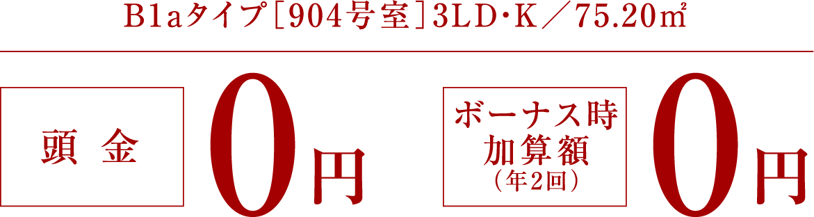 B1a�^�C�v�m90�����n3LD�EK�^75.20�u