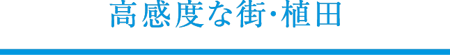 xȊXEAc