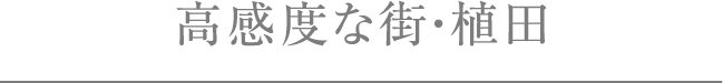 xȊXEAc