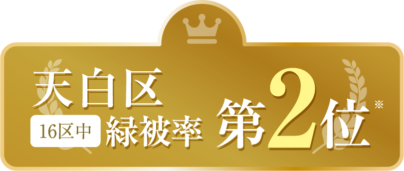 V16撆Δ헦2