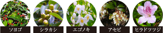 \S/VJV/GSmL/AZr/qhccW