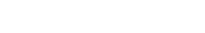 I.C߁AÉv_X}[gɂȂJ[ANZXB