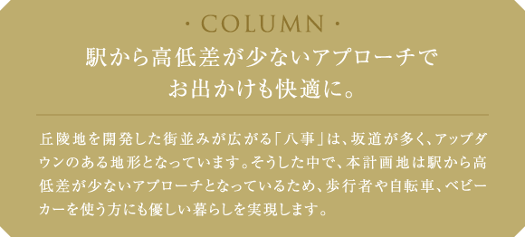 COLUMU w獂፷ȂAv[`łoKɁBu˒nJX݂Luv́A⓹AAbv_Ên`ƂȂĂ܂BŁA{vn͉w獂፷ȂAv[`ƂȂĂ邽߁As҂⎩]ԁAxr[J[gɂD炵܂B